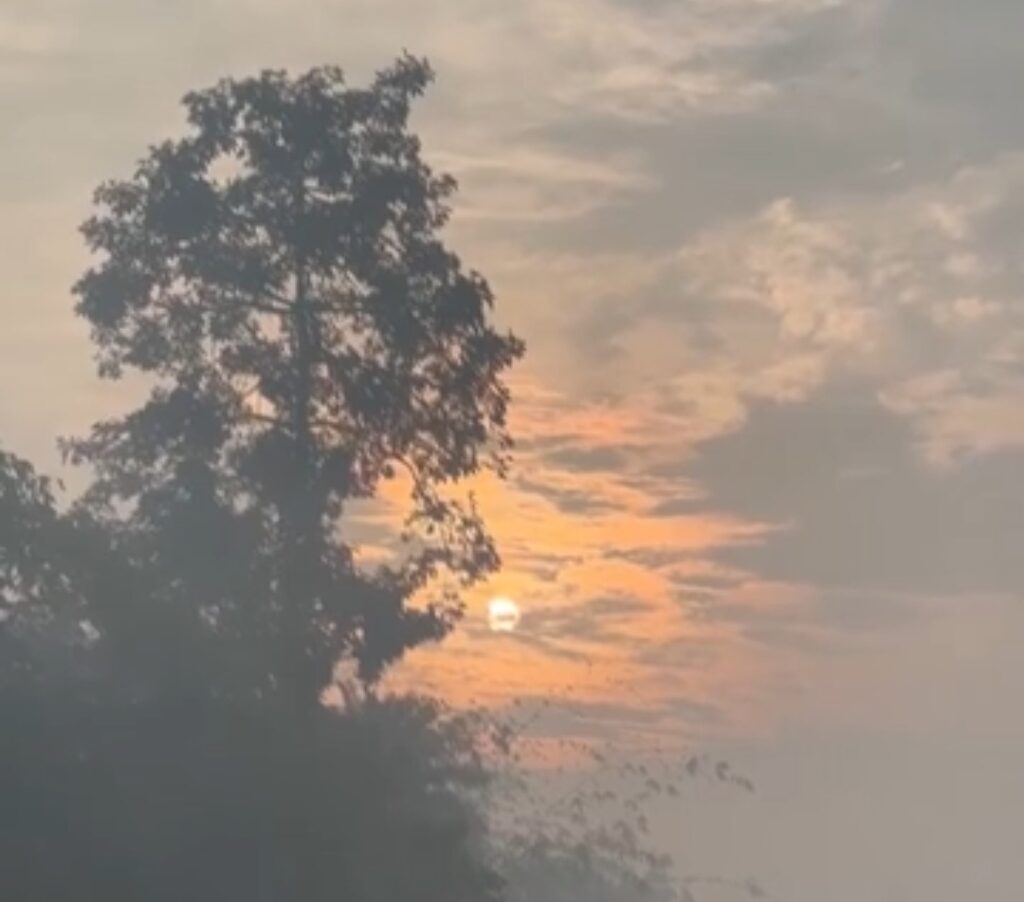 बिहार के 19 जिलों में बारिश और ठंड का अलर्ट 3 1000422408
