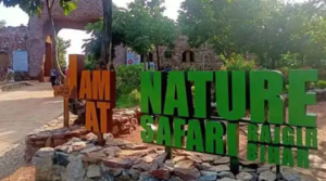 nature-safari