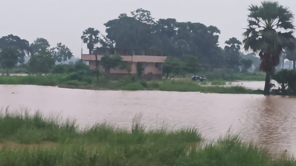 झारखंड से छोड़े गए पानी ने गिरियक इलाके में मचाया उफान, कई गांवों का निचला इलाका जलमग्न, प्रशासन अलर्ट, बाढ़ की आशंका से ग्रामीणों में दहशत 3 1000767946