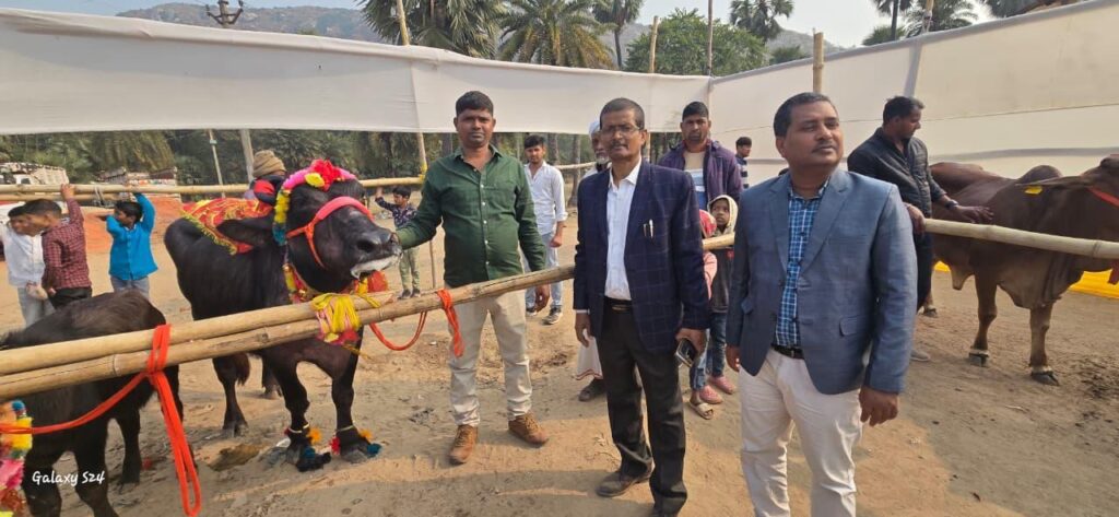 मकर मेला राजगीर–नालंदा 2026 में दुधारू पशु प्रदर्शनी का आयोजन, विजेता पशुपालकों के बीच पुरस्कार राशि का वितरण 2 1001195328
