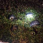 कतरीसराय में ट्रैक्टर पलटने से किसान की मौत, गांव में शोक की लहर