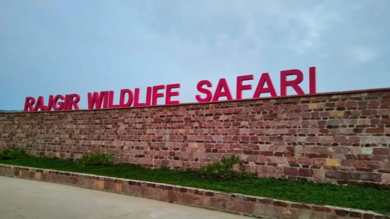 Rajgir-wildlife-Safari-and-park
