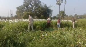 Screenshot_20260218_225056_WhatsApp