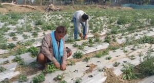 Screenshot_20260224_125448_WhatsApp