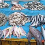 बिहार में खुले में मांस-मछली बिक्री पर पूर्ण प्रतिबंध, अब केवल लाइसेंसधारी दुकानों को ही संचालन की अनुमति