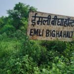 इमली बीघा रेलवे हॉल्ट का प्लेटफॉर्म बना जंगल, जहरीले सांप-बिच्छुओं का बढ़ा खतरा